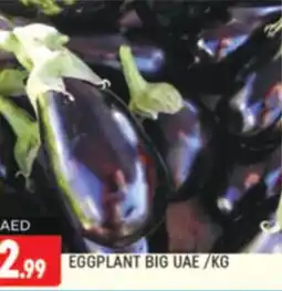 Shaklan EGGPLANT BIG KG offer