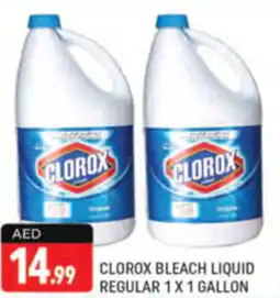 Shaklan CLOROX BLEACH LIQUID REGULAR 1X 1 GALLON offer
