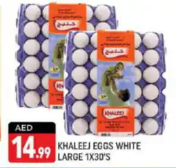 Shaklan KHALEEJ EGGS WHITE LARGE 1X30'S offer