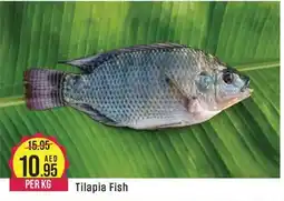 Tilapia Fish PER KG