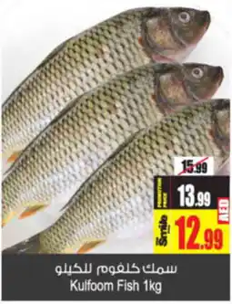 Ansar Mall Kulfoom Fish 1kg offer