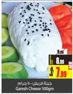 Ansar Mall Garesh Cheese 500gm offer