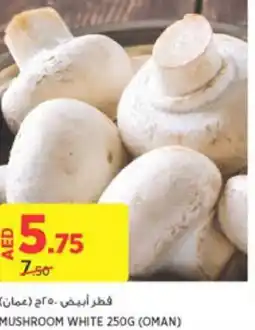 Géant MUSHROOM WHITE 250G offer