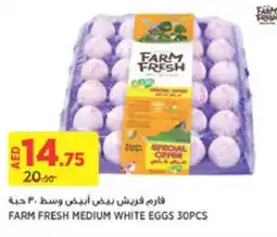 Géant FARM FRESH MEDIUM WHITE EGGS 30PCS offer