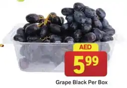 City Retail Supermarket Grape Black Per Box offer