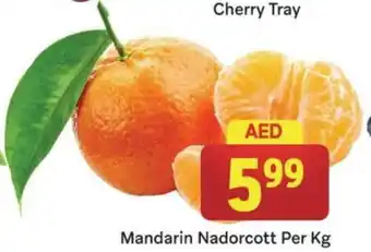 City Retail Supermarket Mandarin Nadorcott Per Kg offer