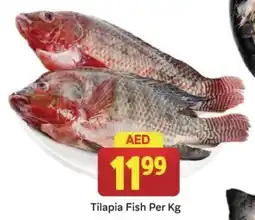 City Retail Supermarket Tilapia Fish Per Kg offer