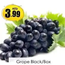 Amber Grape Black / Box offer