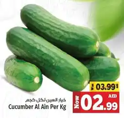 Kenz Hypermarket Cucumber Al Ain Per Kg offer