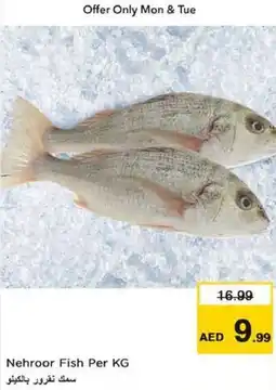 Nesto Nehroor Fish Per kg offer