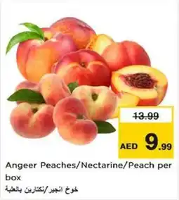 Nesto Angeer Peaches / Nectarine / Peach per box offer