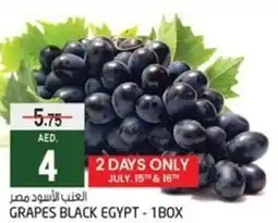 Safari Hypermarket GRAPES BLACK EGYPT 1BOX offer