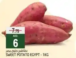 Safari Hypermarket SWEET POTATO EGYPT 1KG offer