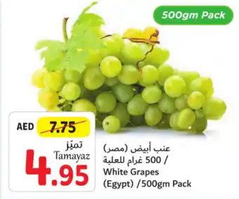 Union Coop White Grapes (Egypt) / 500gm Pack offer