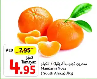 Union Coop Mandarin Nova / kg offer