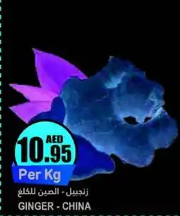 Almaya supermarket GINGER offer