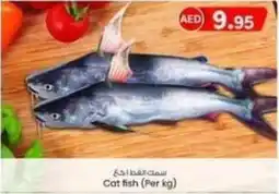 KM Trading Cat fish (Per kg) offer