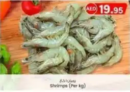 KM Trading Shrimps (Per kg) offer