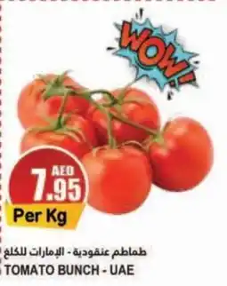 Almaya supermarket TOMATO BUNCH Per Kg offer
