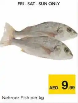 Nesto Nehroor Fish per kg offer