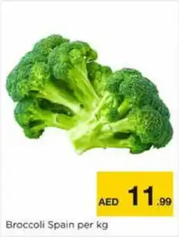 Nesto Broccoli Spain per kg offer