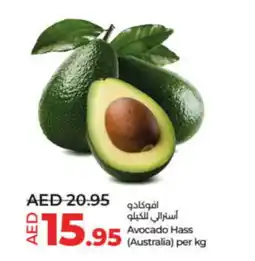 LuLu Express Avocado Hass per kg offer