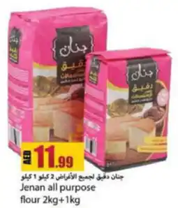 Rawabi Market Jenan All Purpose Flour 2kg + 1kg offer