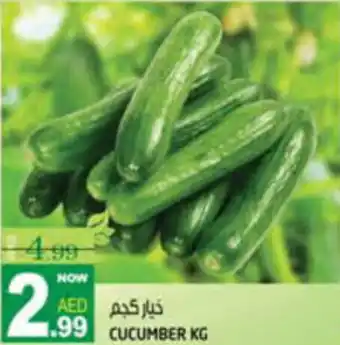 Hashim Hypermarket CUCUMBER KG offer
