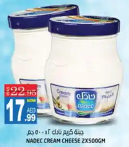 Hashim Hypermarket NADEC CREAM CHEESE 2 X 500GM offer