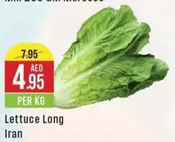 West Zone Supermarket Lettuce Long PER KG offer