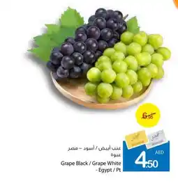 Ajman Market Grape Black Grape White pt offer