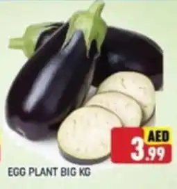 Al Madina EGG PLANT BIG KG offer