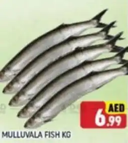 Al Madina MULLUVALA FISH KG offer
