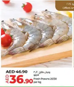 Lulu Hypermarket Fresh Prawns 20/30 per kg offer