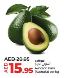 Lulu Hypermarket Avocado Hass per kg offer