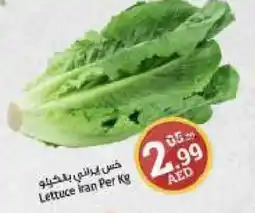 Kenz Hypermarket Lettuce Per Kg offer