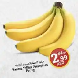 Kenz Hypermarket Banana Yellow Per Kg offer