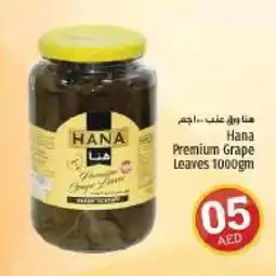 Kenz Hypermarket Hana Premium Grape Leaves 1000gm offer