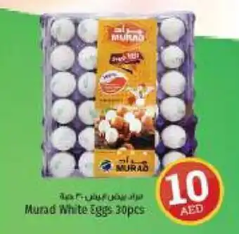 Kenz Hypermarket Murad White Eggs 30pcs offer