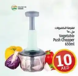 Kenz Hypermarket Vegetable Push Chopper 650ml offer