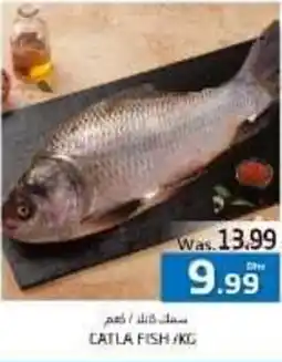 Pasons CATLA FISH/KG offer