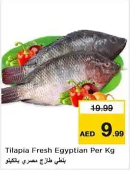 Last Chance Tilapia Fresh Egyptian Per kg offer