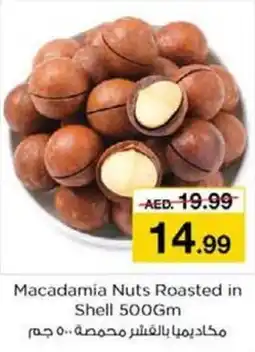 Nesto Macadamia Nuts Roasted in Shell 500gm offer