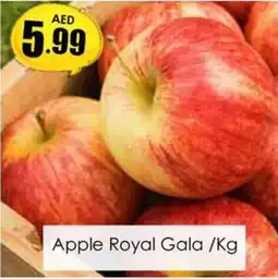 Amber Apple Royal Gala /Kg offer
