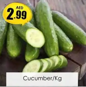 Amber Cucumber/Kg offer