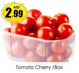 Amber Tomato Cherry /Box offer