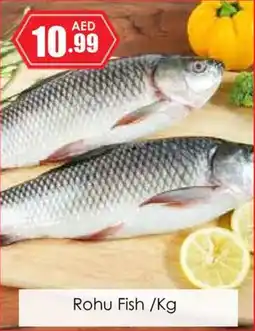 Amber Rohu Fish/Kg offer