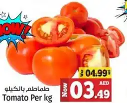 Kenz Hypermarket Tomato Per kg offer