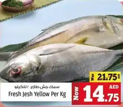 Kenz Hypermarket Fresh Jesh Yellow Per offer