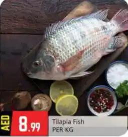 Bigmart Tilapia Fish PER KG offer